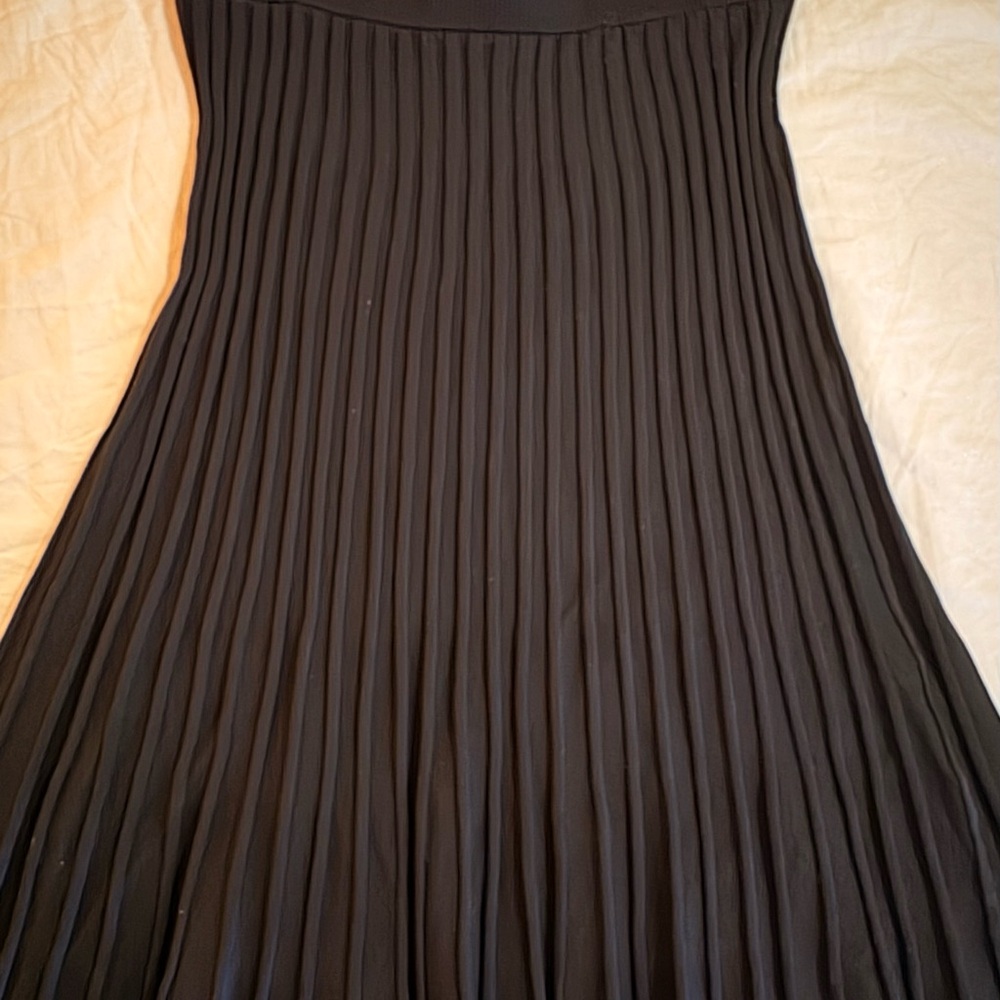 Adiva Black A-Line Pleated Skirt